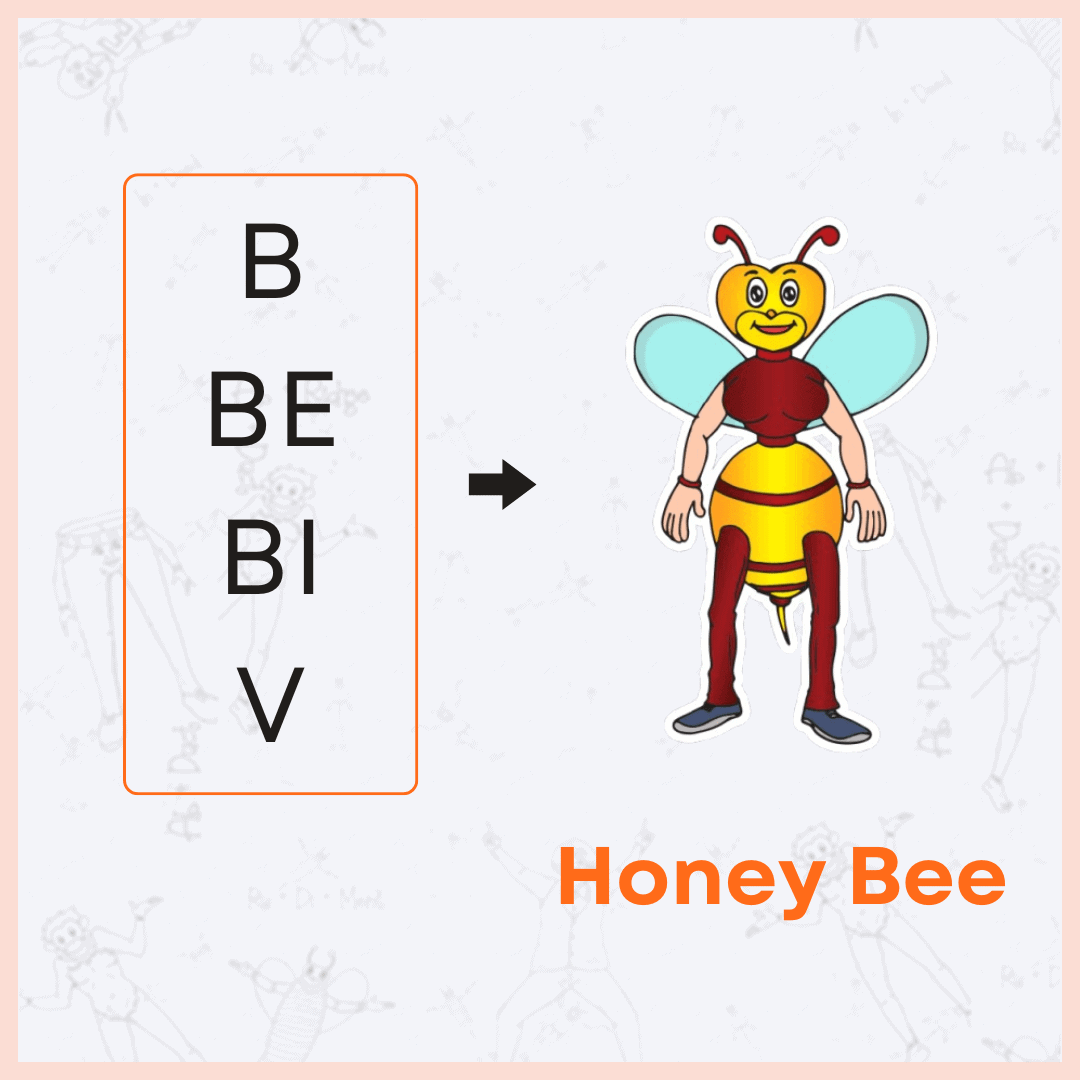 Honey Bee